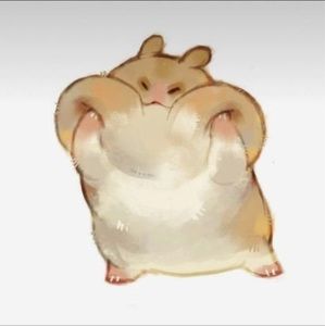 Meet your Posher, Cẩm